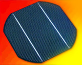 tedlar solar module